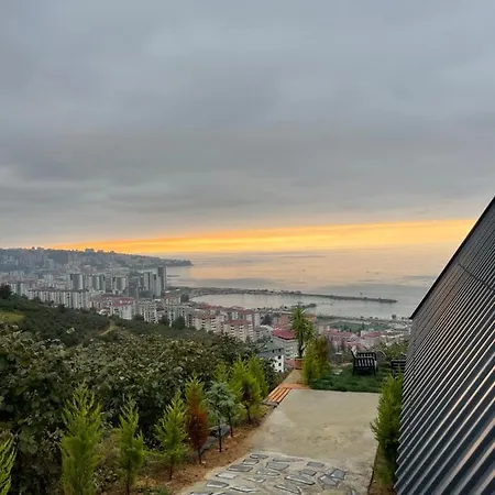 Alpdag Trabzon